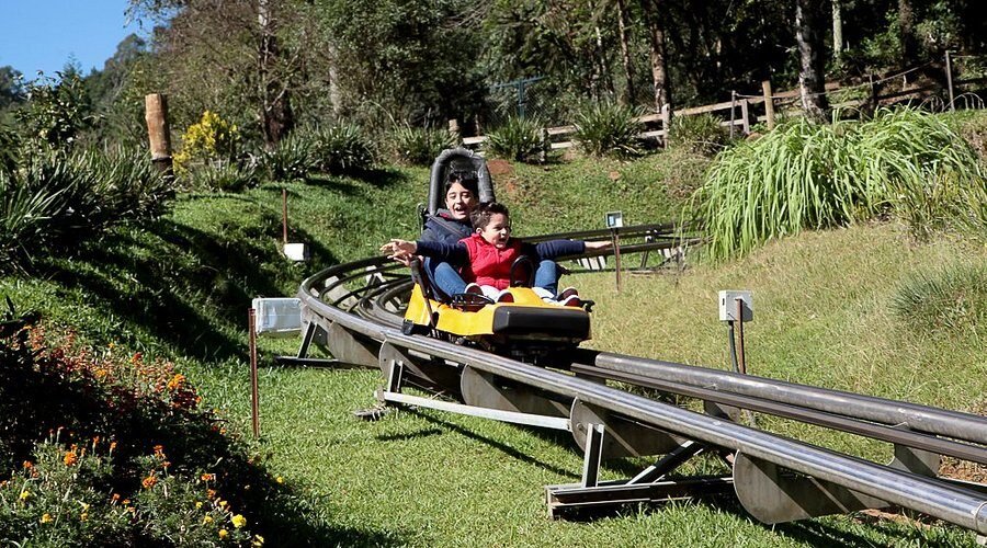 Alpen Park: Diversão e Aventura ao Ar Livre na Serra Gaúcha