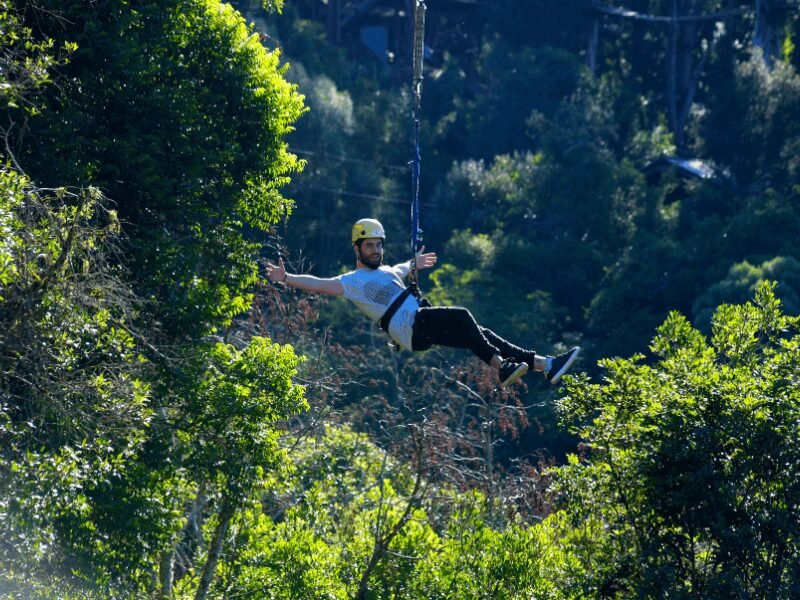 Alpen Park: Diversão e Aventura ao Ar Livre na Serra Gaúcha