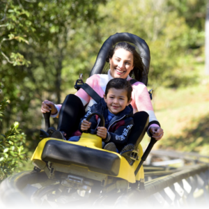 Alpen Park: Diversão e Aventura na Serra Gaúcha