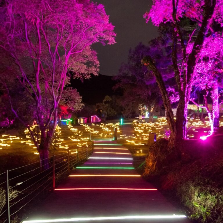 Lumni gramado